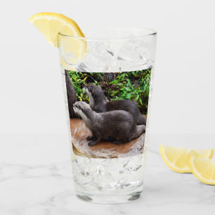 **"Paciencia por el agua: Dos pequeñas nutrias gri