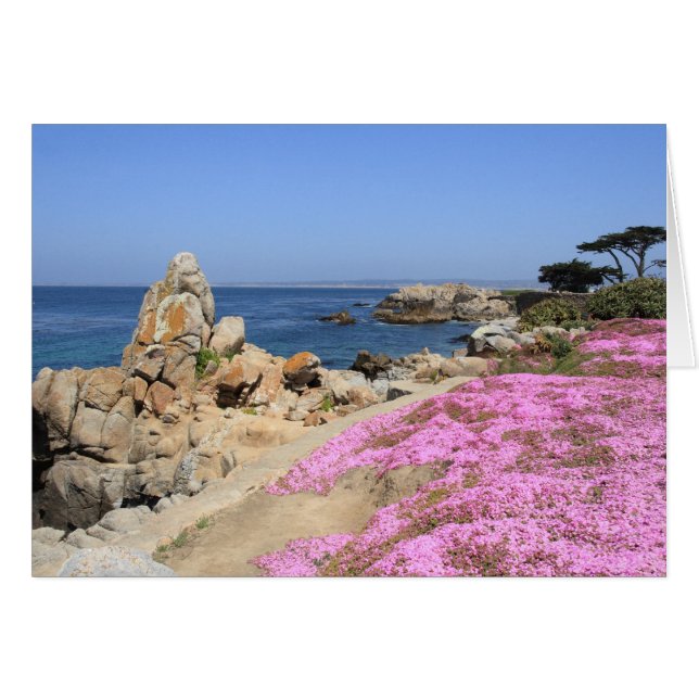 Pacific Grove (Anverso (Horizontal))