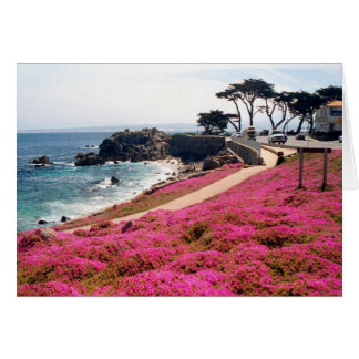 Pacífico Grove-Monterey Calif