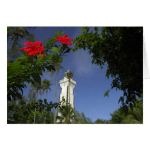 Pacífico Sur, Polinesia Francesa, Tahití. Hibisco