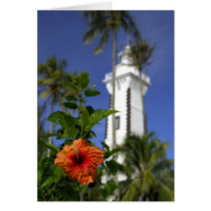 Pacífico Sur, Polinesia Francesa, Tahití.Hibiscus