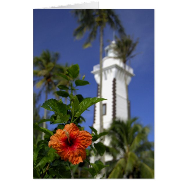 Pacífico Sur, Polinesia Francesa, Tahití. Hibiscus (Frente)