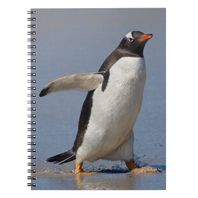 Paddling Gentoo Cuaderno (Frente)