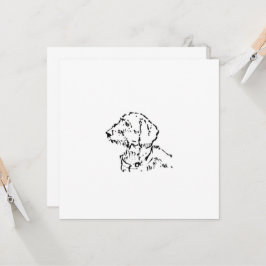 Padre o Madre de Perro Dachshund de Pelo Duro