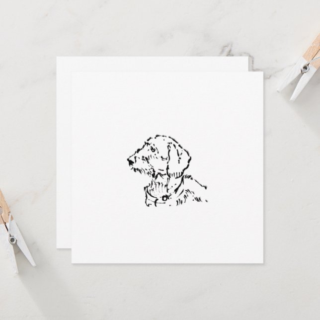 Padre o Madre de Perro Dachshund de Pelo Duro (Anverso/Reverso In Situ)