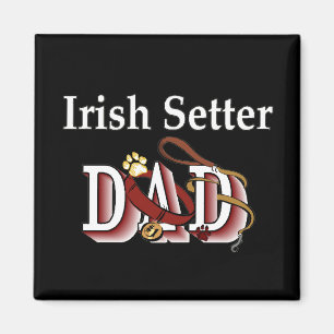 padre Setter irlandés imán