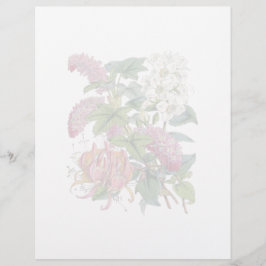 Página Botánica Vintage