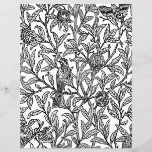 Página de Coloración para Adultos, Morris Bird & P