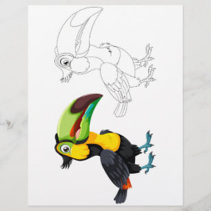 página de coloreado de pájaros de toucan