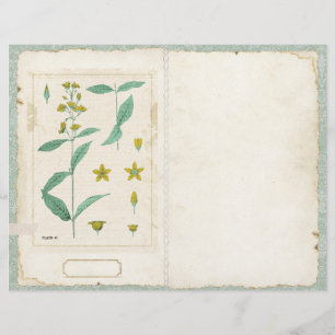 Página de Diario de Flor Silvestre Botánica Delant