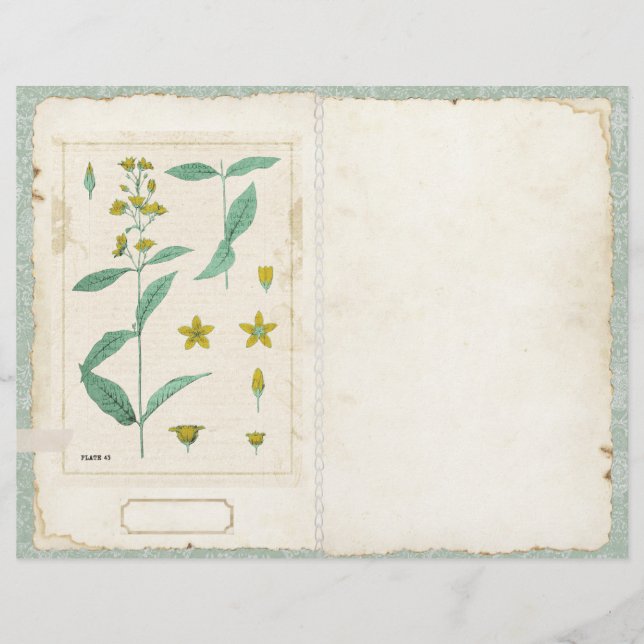 Página de Diario de Flor Silvestre Botánica Delant (Anverso)