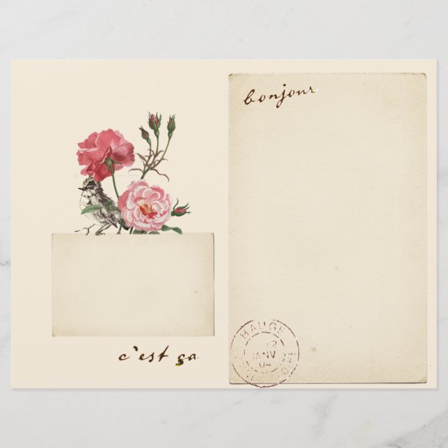 Página de Diario del Viejo Rosa Francés de Pájaros (Anverso)