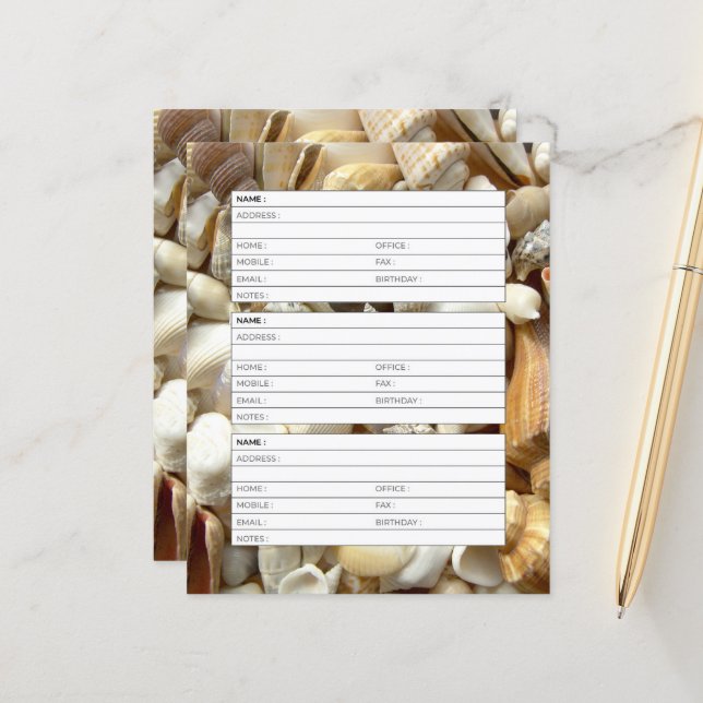 página de la libreta de direcciones de seashells (Anverso/Reverso In Situ)