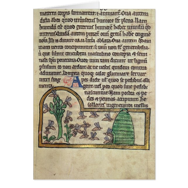 Página de Roy del texto con el ilustracion de (Frente)