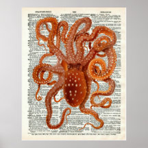 Página del diccionario de arte del pulpo botánico