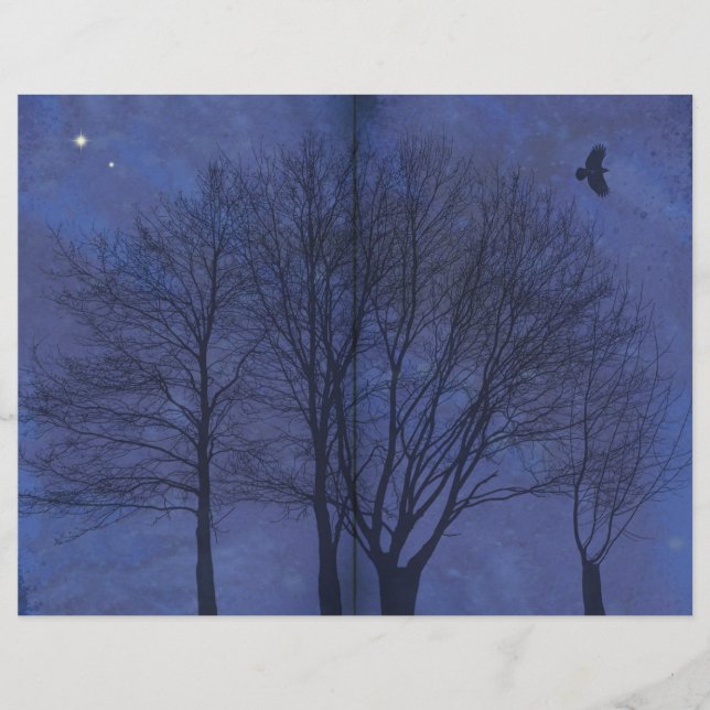 Página Diario de la Madrugada Forestal Oscuro (Anverso)