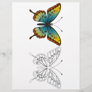 Página para colorear de mariposa de dibujos animad