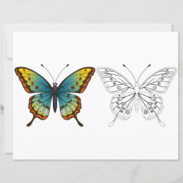 Página para colorear de mariposa de dibujos animad