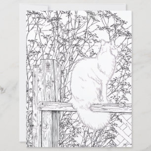 Página para colorear - Gato en la cerca