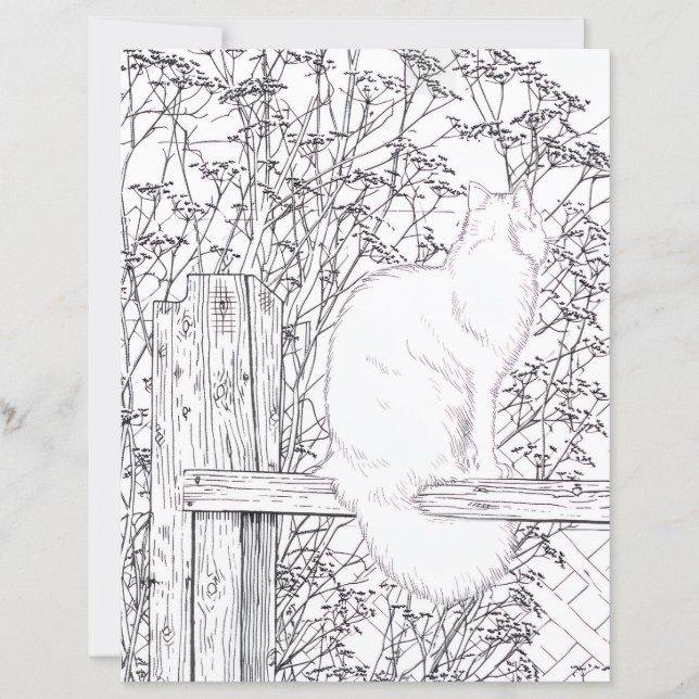 Página para colorear - Gato en la cerca (Anverso)
