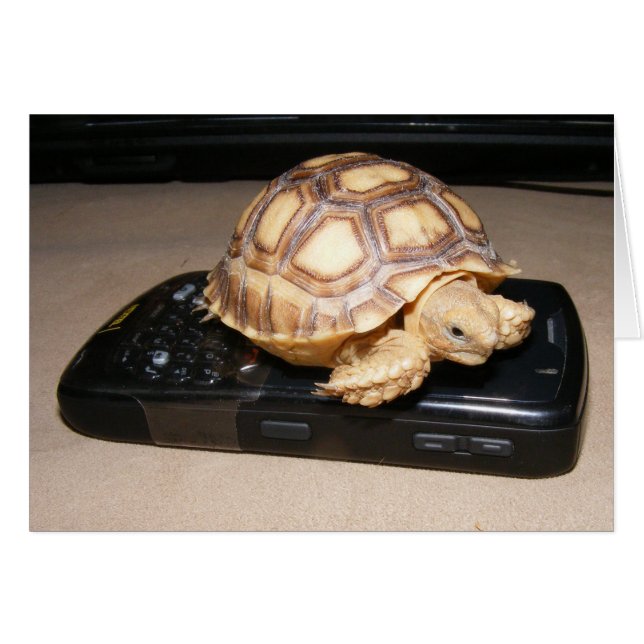 Página principal del teléfono Rawr (Anverso (Horizontal))