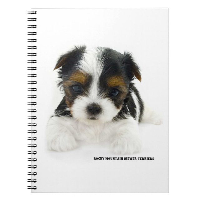 Páginas del cuaderno 80 - perrito de Biewer (Frente)