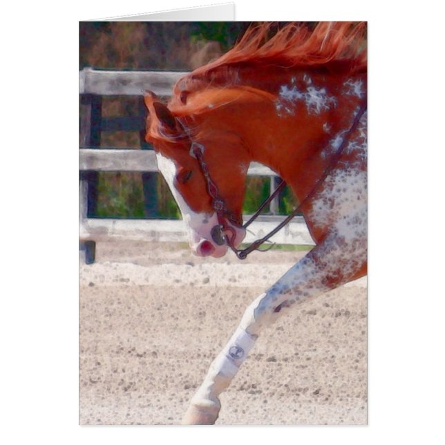 Paint Horse (Frente)