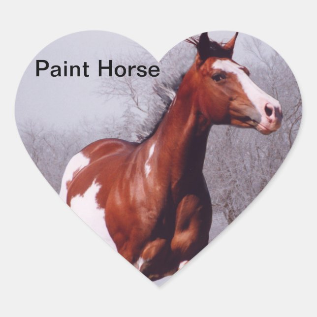 Paint Horse galloping invierno Pegatina del corazó (Anverso)