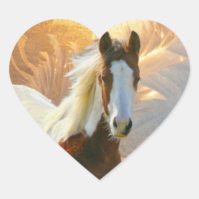 Paint Horse Gold Hearts Pegatinas (Anverso)