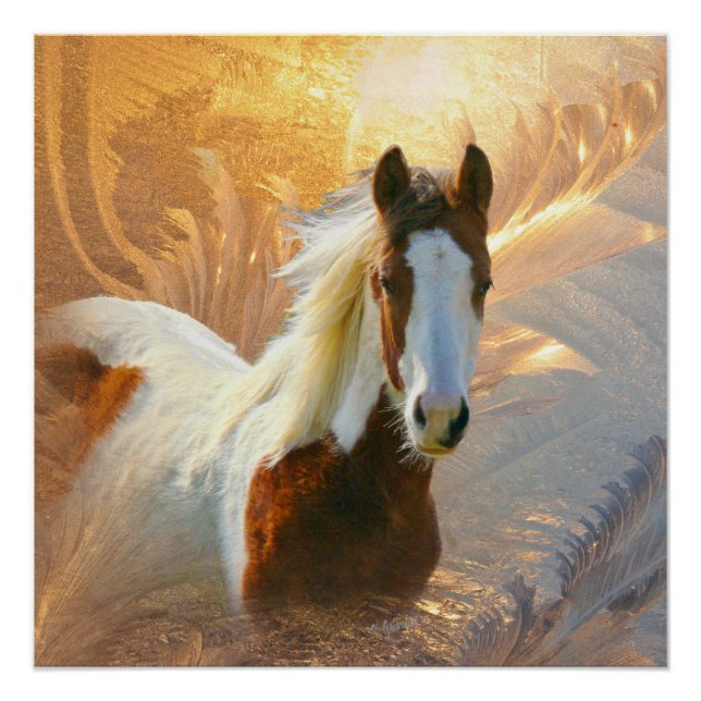 Paint Horse Gold Perfect Poster (Anverso)