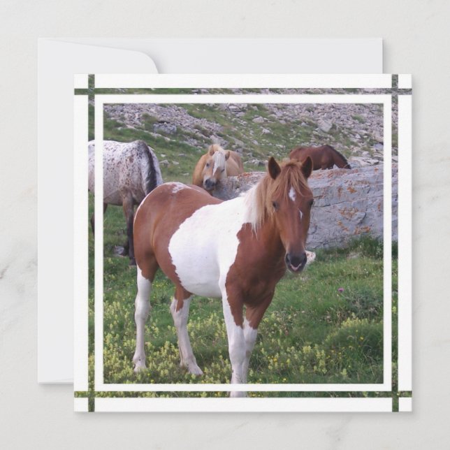 Paint Horse Invitación (Anverso)