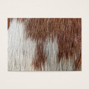 Paint Horse Pattern