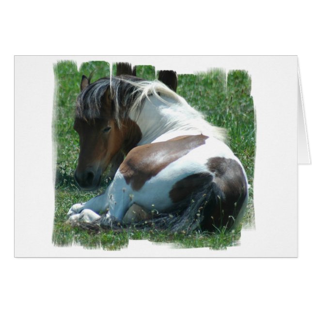 Paint Pony Ring Card (Anverso (Horizontal))