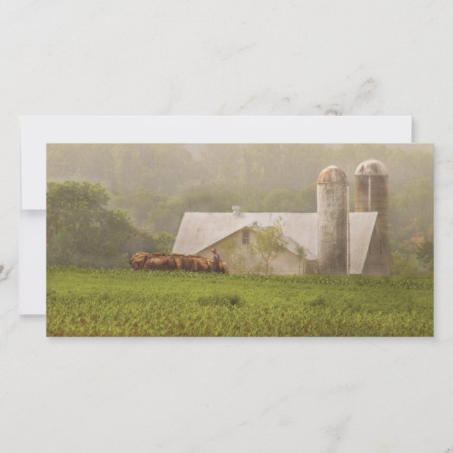 País - Agricultura Amish (Anverso)