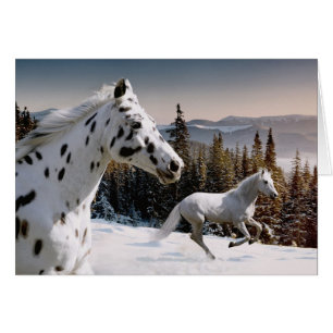 País de las maravillas del invierno