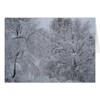 País de las maravillas del invierno