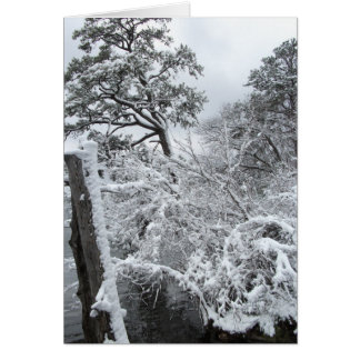 País de las maravillas II del invierno