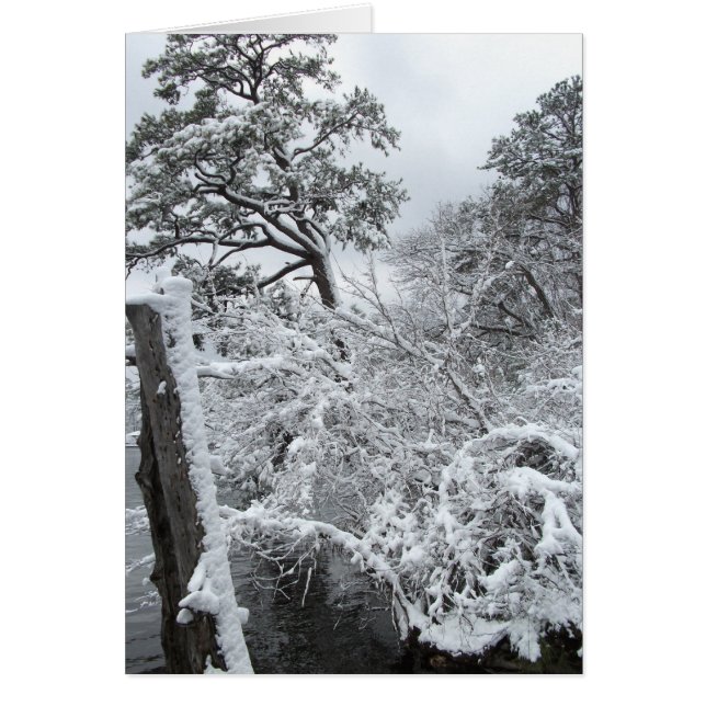 País de las maravillas II del invierno (Frente)