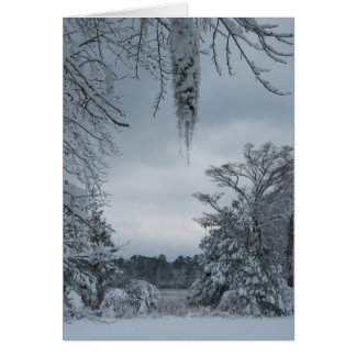 País de las maravillas IV del invierno