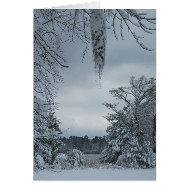 País de las maravillas IV del invierno (Frente)