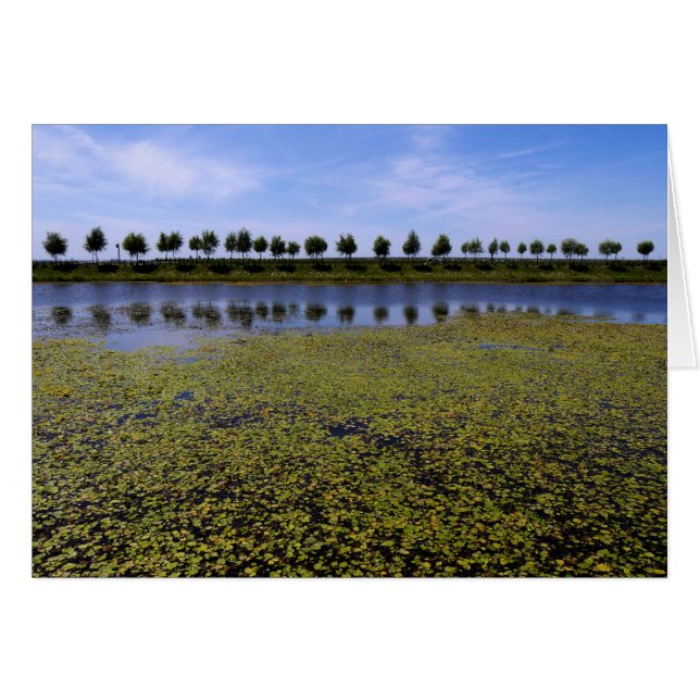 Paisaje (Anverso (Horizontal))