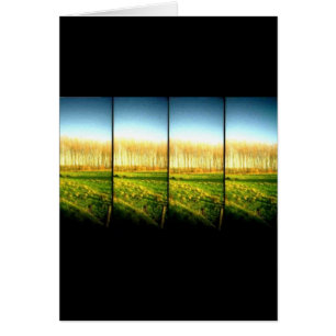 paisaje 2 del lomo