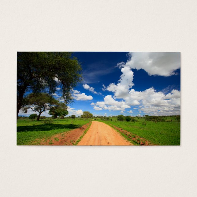 Paisaje africano (Frente)