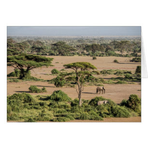 Paisaje africano con elefante