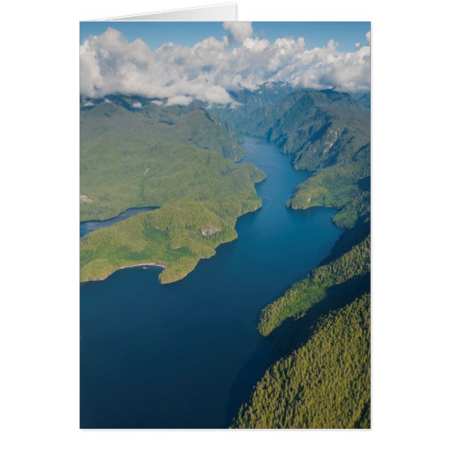 Paisaje Costero En La Selva Lluviosa De Gran Oso (Frente)
