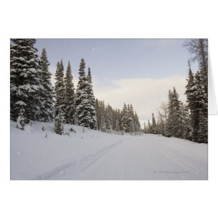 Paisaje cubierto de nieve