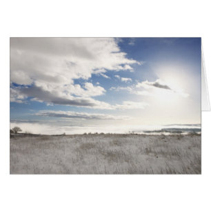 paisaje cubierto de nieve campo de hierba