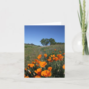 Paisaje de amapola, tarjeta de nota en blanco