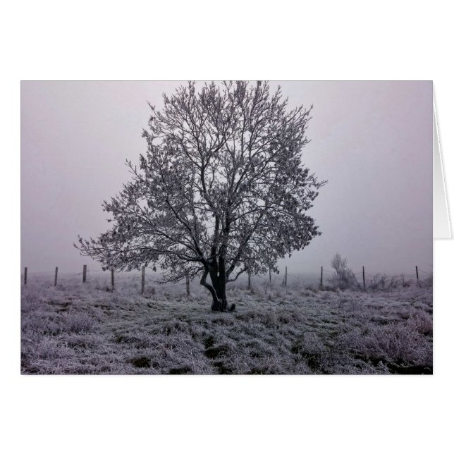 Paisaje de árbol de invierno (Anverso (Horizontal))