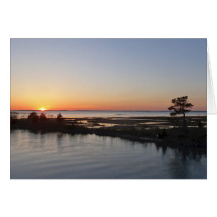 Paisaje de Chincoteague Sunset I Virginia
